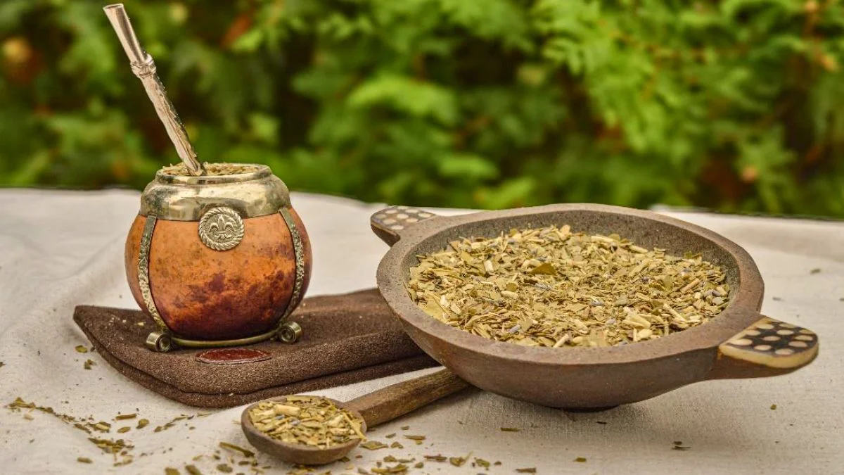 La yerba más elegida por los argentinos: qué marca lidera el ranking y cuáles completan el podio
