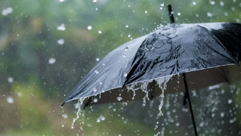 Viernes con lluvias en Tucumán: cómo seguirá el tiempo durante el fin de semana