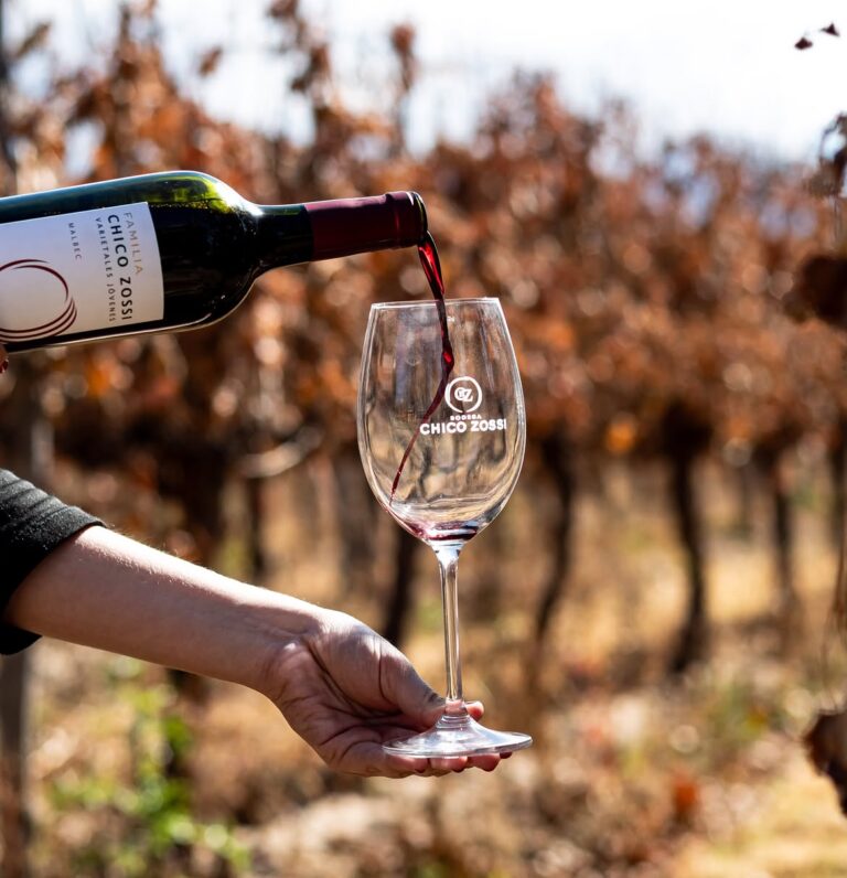 El vino tucumano fue premiado en EVINOR con cuatro medallas
